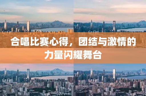 合唱比赛心得，团结与激情的力量闪耀舞台