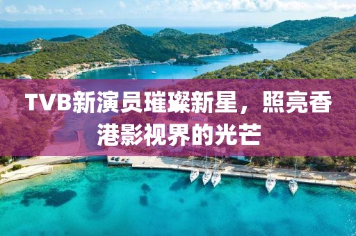 TVB新演员璀璨新星，照亮香港影视界的光芒