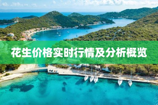 花生价格实时行情及分析概览