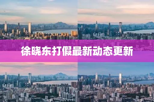 徐晓东打假最新动态更新