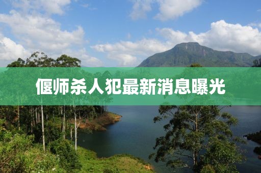 偃师杀人犯最新消息曝光