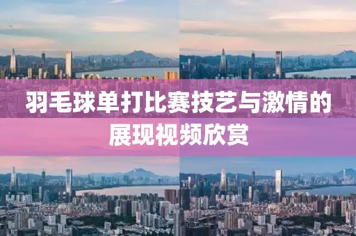 羽毛球单打比赛技艺与激情的展现视频欣赏