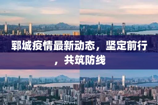 郓城疫情最新动态，坚定前行，共筑防线