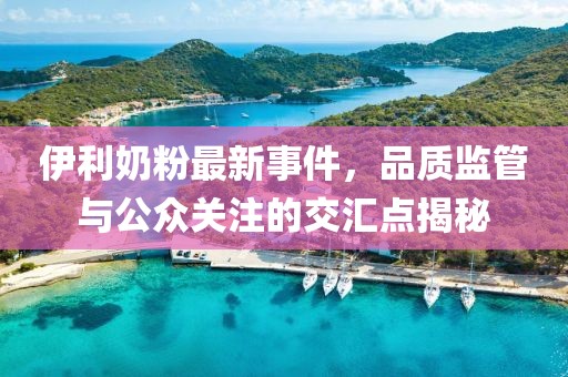 伊利奶粉最新事件，品质监管与公众关注的交汇点揭秘