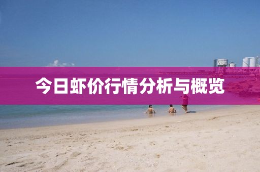 今日虾价行情分析与概览