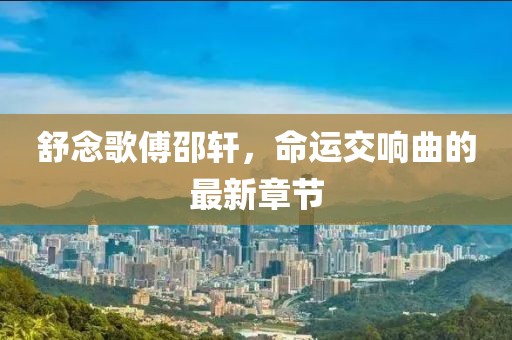 舒念歌傅邵轩，命运交响曲的最新章节