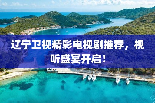 辽宁卫视精彩电视剧推荐，视听盛宴开启！