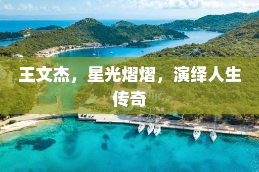 王文杰，星光熠熠，演绎人生传奇