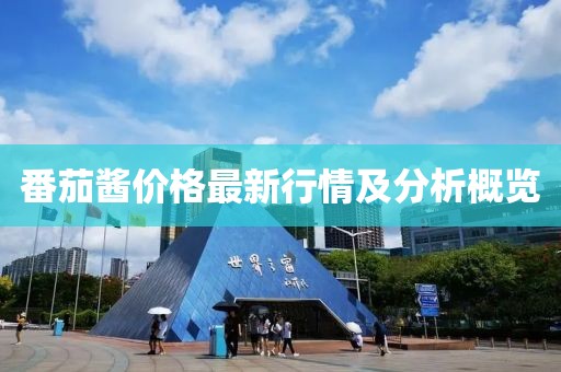 番茄酱价格最新行情及分析概览