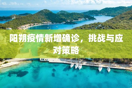阳朔疫情新增确诊，挑战与应对策略