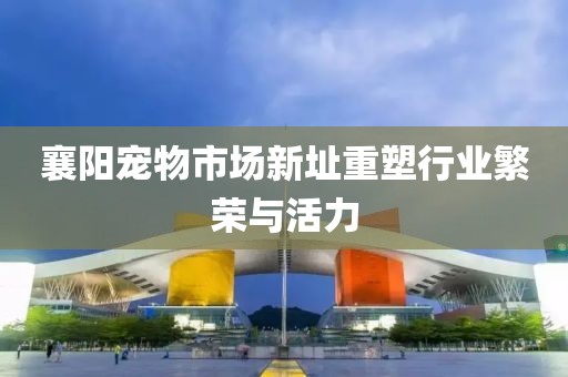 襄阳宠物市场新址重塑行业繁荣与活力