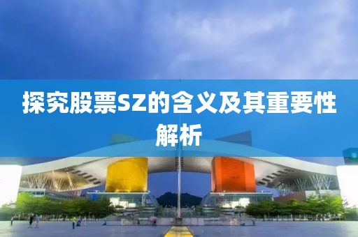 探究股票SZ的含义及其重要性解析