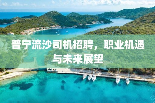 普宁流沙司机招聘，职业机遇与未来展望