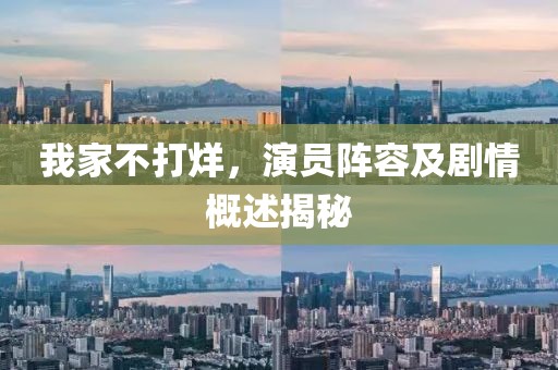 我家不打烊，演员阵容及剧情概述揭秘