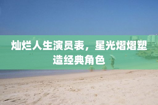 灿烂人生演员表，星光熠熠塑造经典角色
