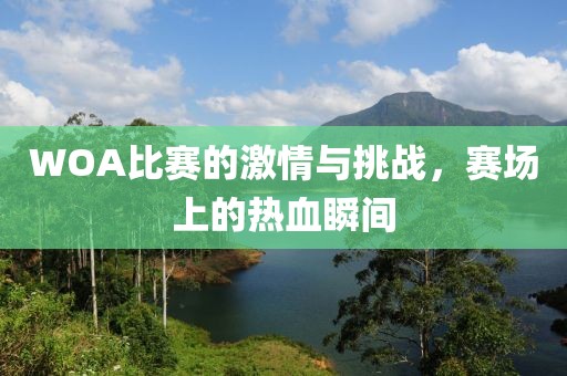 WOA比赛的激情与挑战，赛场上的热血瞬间