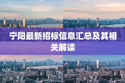 宁阳最新招标信息汇总及其相关解读