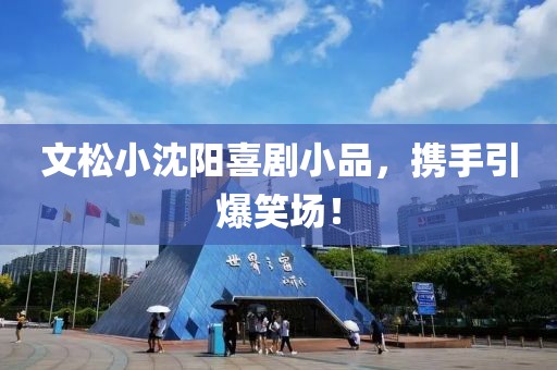 文松小沈阳喜剧小品，携手引爆笑场！