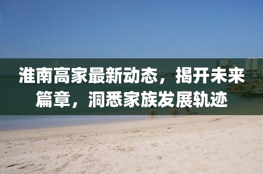 淮南高家最新动态，揭开未来篇章，洞悉家族发展轨迹