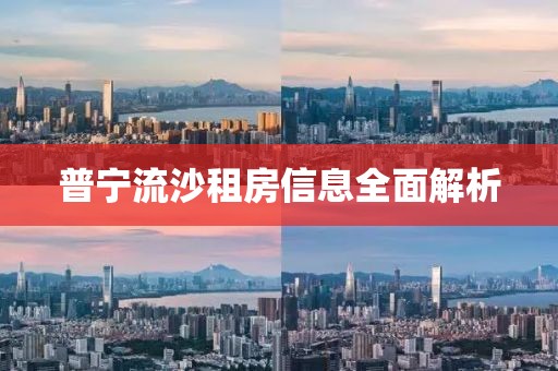 普宁流沙租房信息全面解析