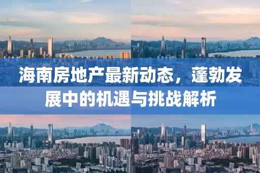 海南房地产最新动态，蓬勃发展中的机遇与挑战解析