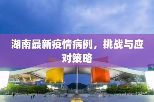 湖南最新疫情病例，挑战与应对策略