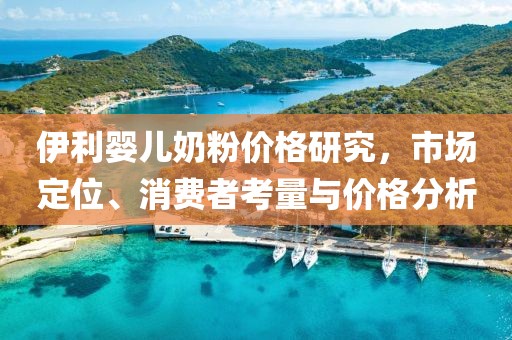 伊利婴儿奶粉价格研究，市场定位、消费者考量与价格分析