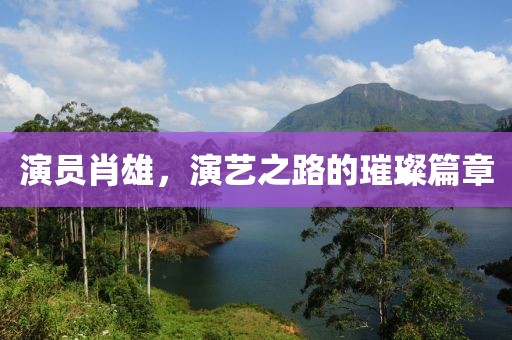 演员肖雄，演艺之路的璀璨篇章