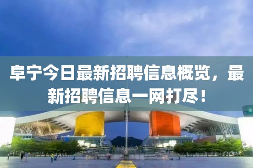 阜宁今日最新招聘信息概览，最新招聘信息一网打尽！