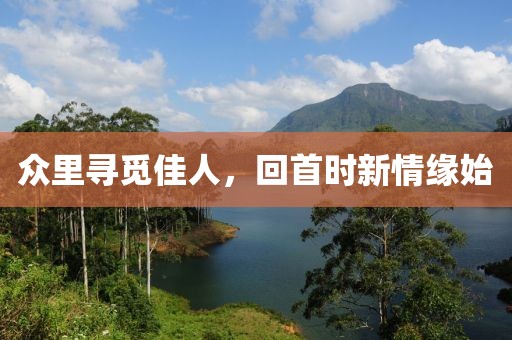 众里寻觅佳人，回首时新情缘始