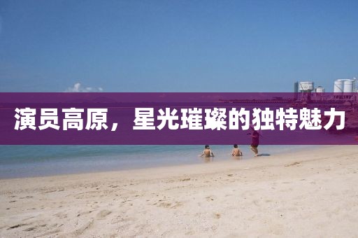 演员高原，星光璀璨的独特魅力