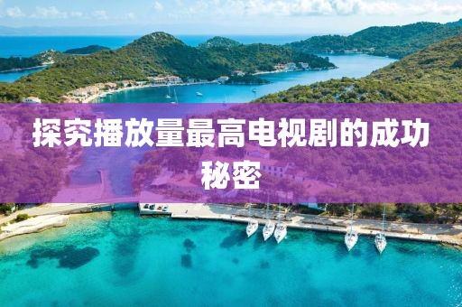 探究播放量最高电视剧的成功秘密