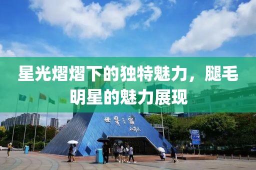 星光熠熠下的独特魅力，腿毛明星的魅力展现