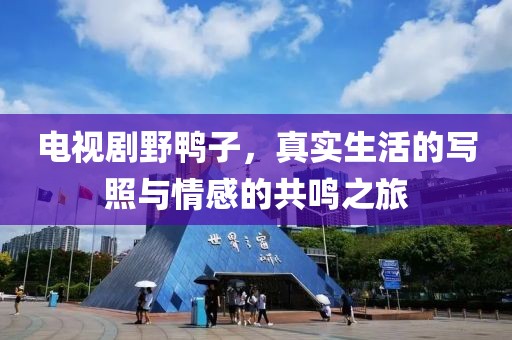 落泪玫瑰 第5页