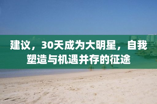 建议，30天成为大明星，自我塑造与机遇并存的征途