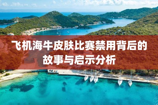 飞机海牛皮肤比赛禁用背后的故事与启示分析