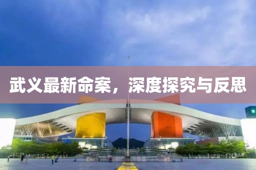 武义最新命案，深度探究与反思