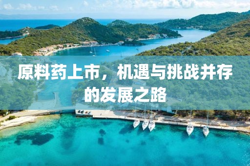 原料药上市，机遇与挑战并存的发展之路