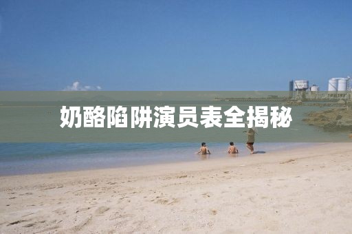 奶酪陷阱演员表全揭秘