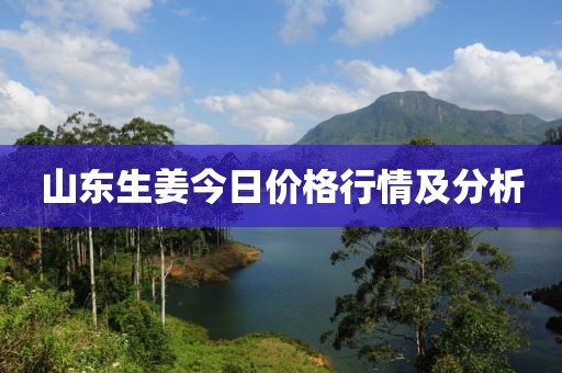 山东生姜今日价格行情及分析