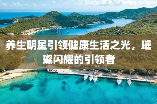 养生明星引领健康生活之光，璀璨闪耀的引领者