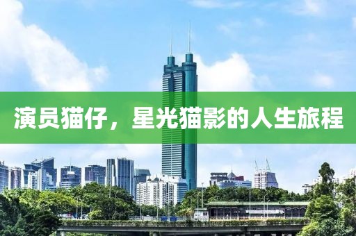 演员猫仔，星光猫影的人生旅程