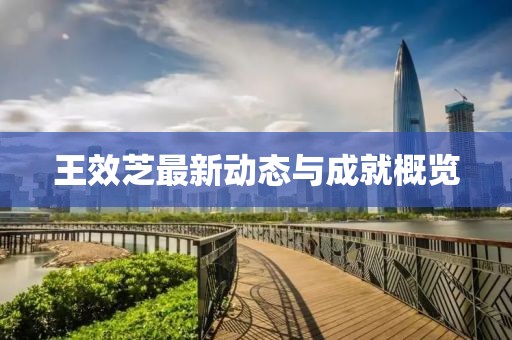 王效芝最新动态与成就概览