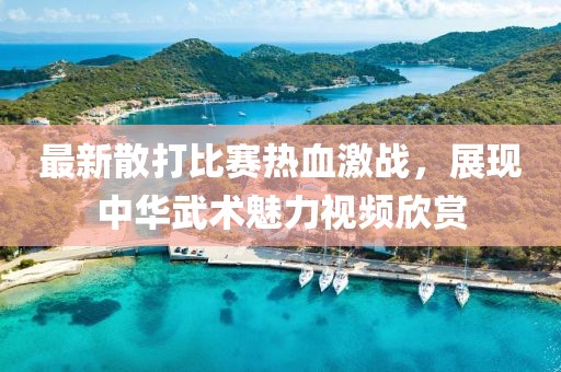 最新散打比赛热血激战，展现中华武术魅力视频欣赏
