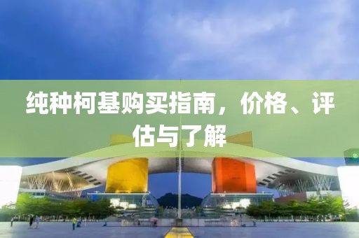 纯种柯基购买指南，价格、评估与了解