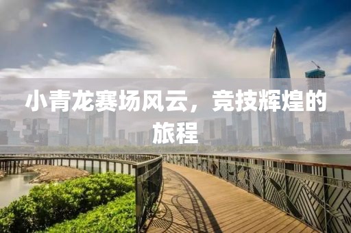 小青龙赛场风云，竞技辉煌的旅程