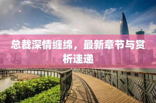 总裁深情缠绵，最新章节与赏析速递