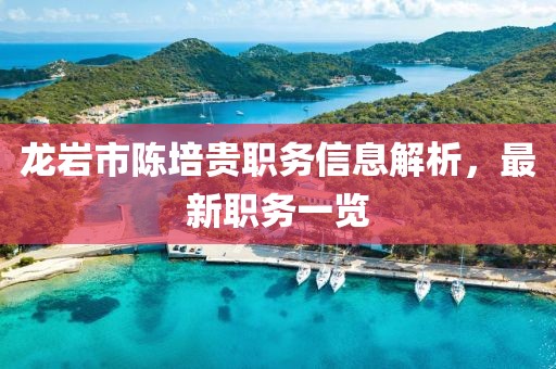 龙岩市陈培贵职务信息解析，最新职务一览