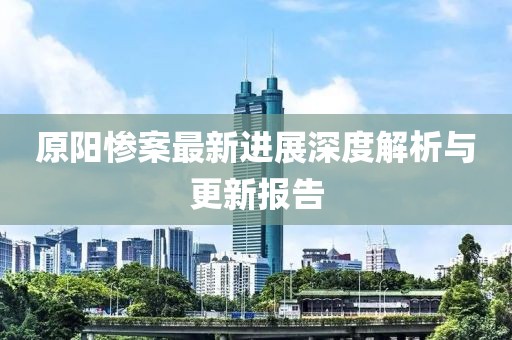 原阳惨案最新进展深度解析与更新报告
