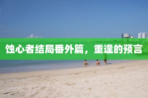 蚀心者结局番外篇，重逢的预言